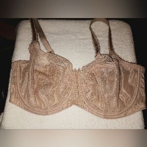 Panache Women's Jasmine Balconnet Bra (6961) Carmel Size 36E